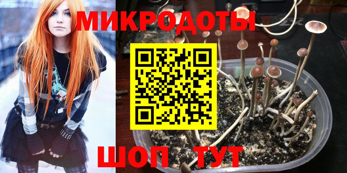 Псилоцибиновые грибы прущие грибы Саратов