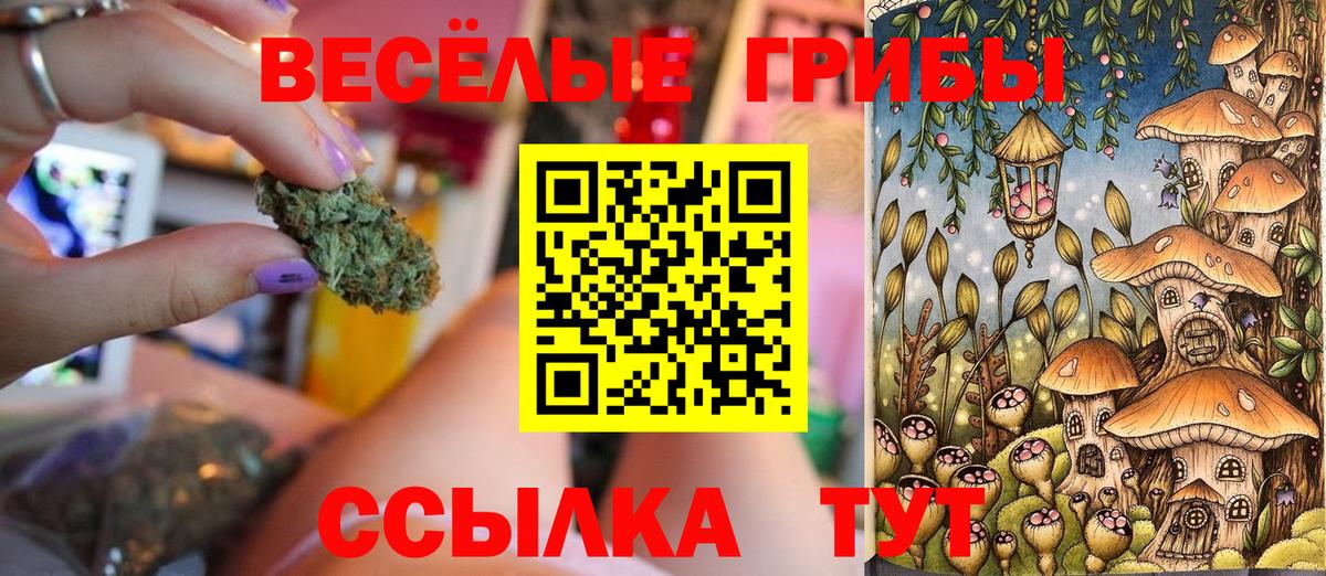 Псилоцибиновые грибы Psilocybe  Вход с VPN  Саратов 